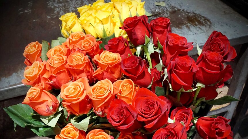 a bucked of orange, yellow和来自厄瓜多尔的红玫瑰，进口到澳大利亚。